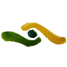 CONSCIOUS RELATIONSHIPS