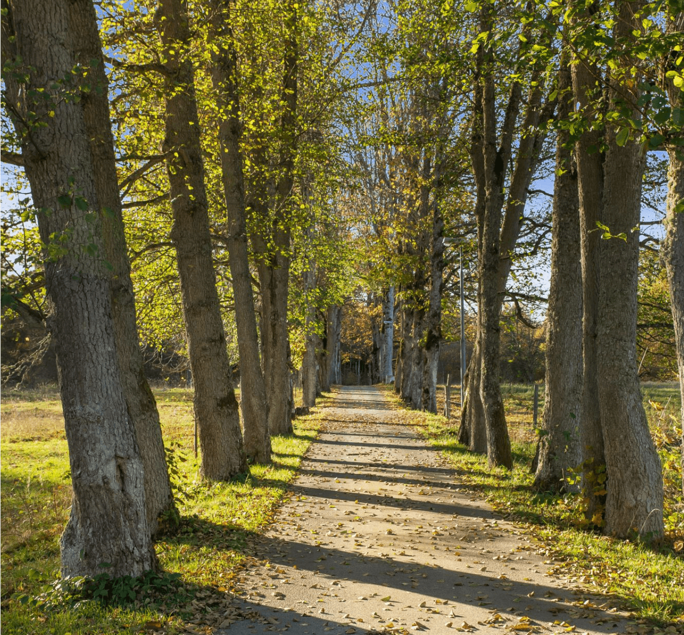 EARTHBOUND ecovillage - A pilot project for regenerative & community living in Sweden