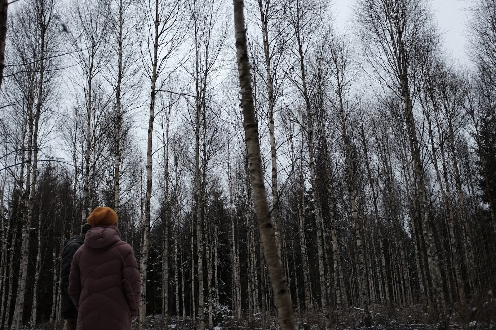 EARTHBOUND ecovillage - A pilot project for regenerative & community living in Sweden