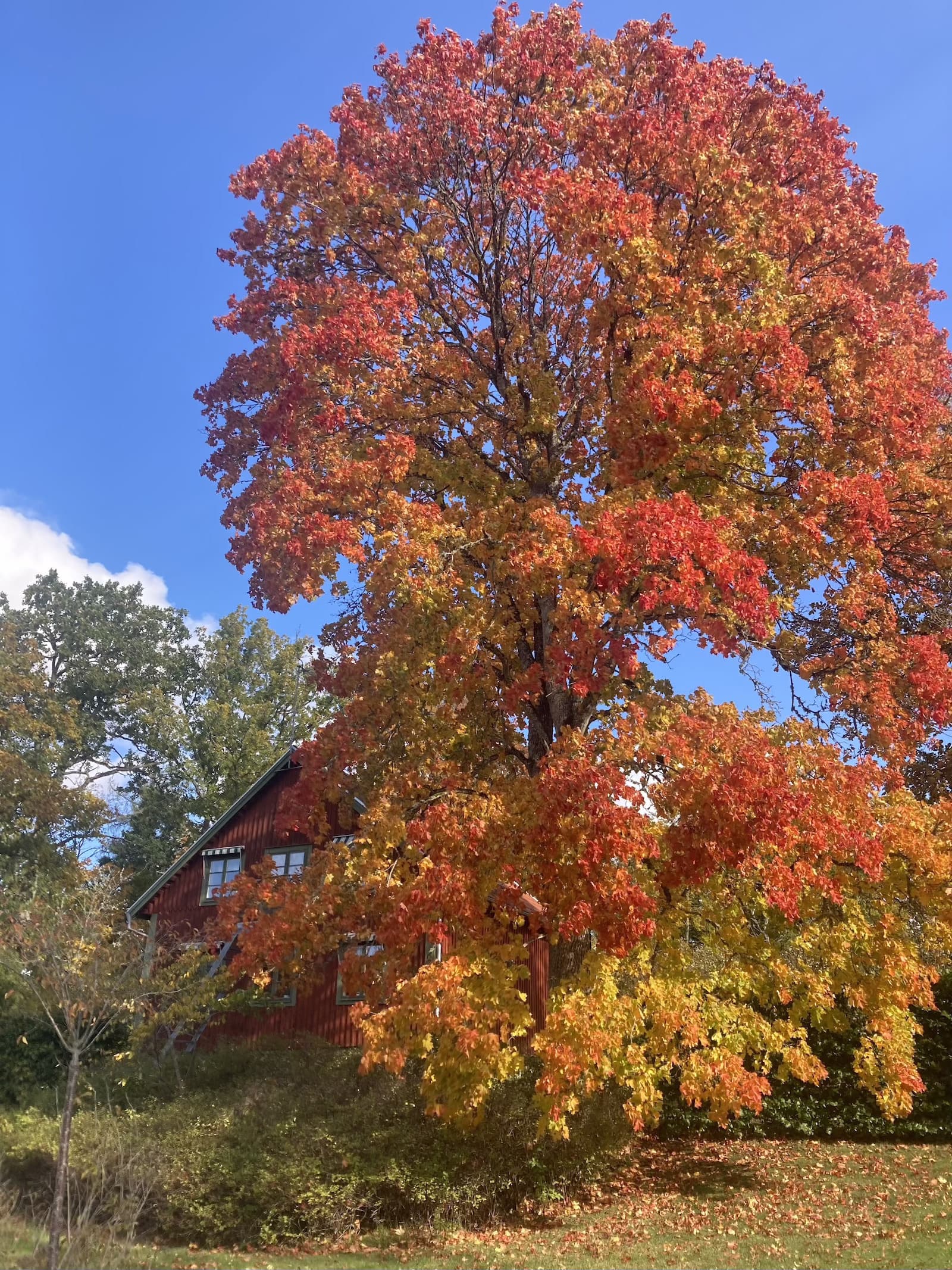 EARTHBOUND ecovillage - A pilot project for regenerative & community living in Sweden