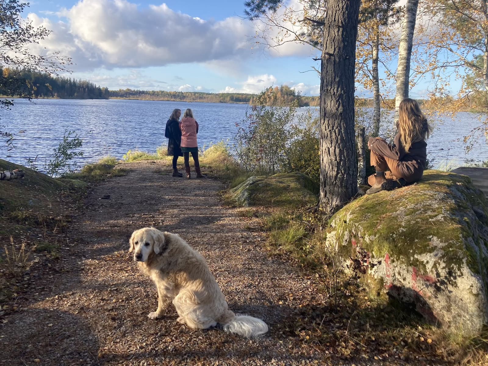 EARTHBOUND ecovillage - A pilot project for regenerative & community living in Sweden