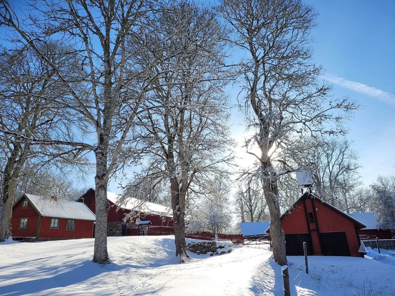 EARTHBOUND ecovillage - A pilot project for regenerative & community living in Sweden